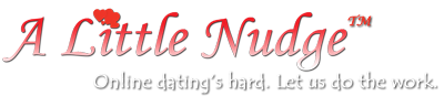 A Little Nudge, LLC.